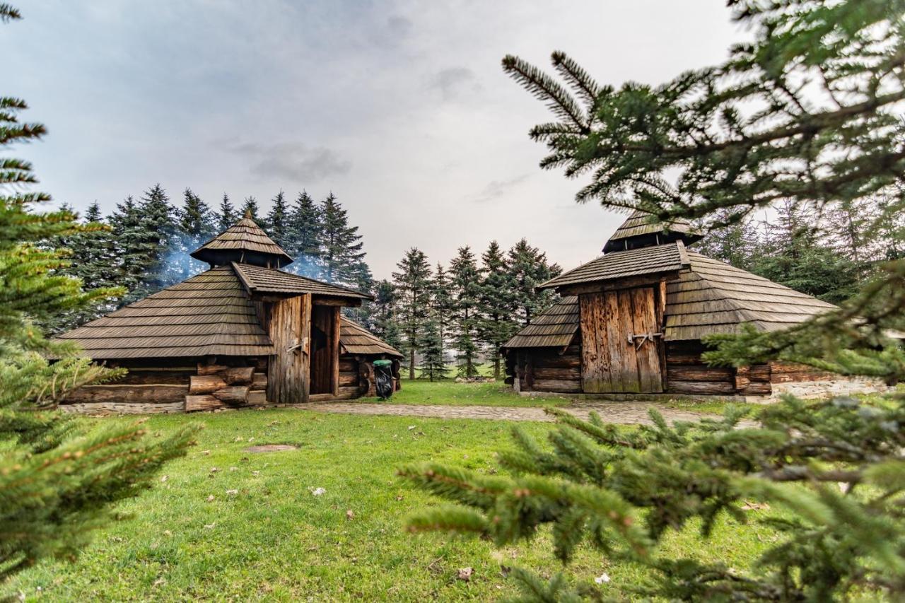 Hotel Dom Sportowca Blonie - Mosir Sanok Exteriér fotografie